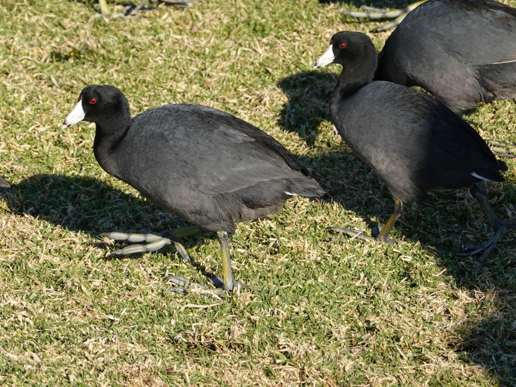 144 - 20220206 Baylands to PAO