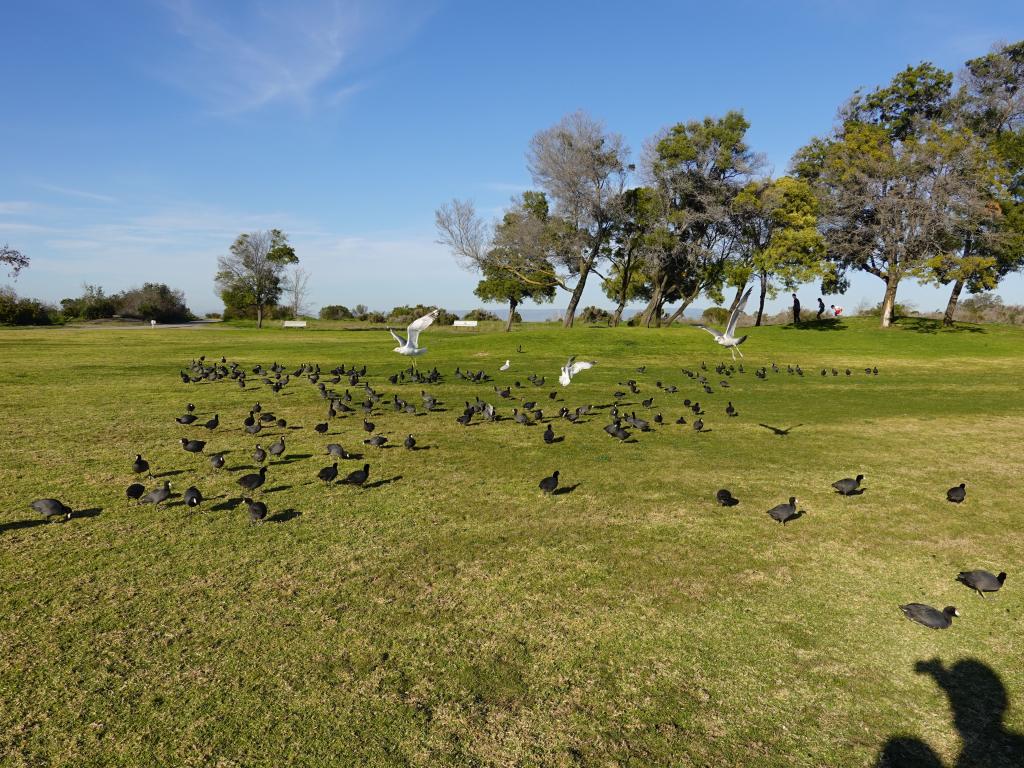 146 - 20220206 Baylands to PAO