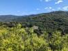108 - 20230510 Fremont Older Short Loop