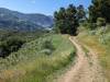 112 - 20230510 Fremont Older Short Loop