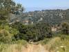 119 - 20240601 Montebello Ride n Picnic Google