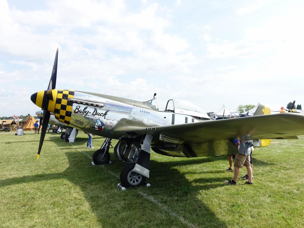 1417 - Warbirds