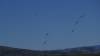 548 - 20180914 Reno Air Races Flying