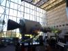 2197 - 20131103 Wash-DC Air and Space Museum