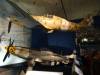 2273 - 20131103 Wash-DC Air and Space Museum