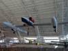 6263 - 20131110 IAD Air and Space Museum Udvar Hazy