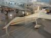 6412 - 20131110 IAD Air and Space Museum Udvar Hazy