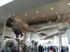 143 - 20150822 Boeing Museum Of Flight