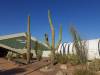 106 - 20201119 Pima Air n Space Museum Hangars