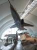 250 - 20210824 RAF Museum London