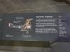 279 - 20210824 RAF Museum London