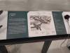 239 - 20210901 RAF Museum Cosford