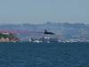 225 - 20231007 Fleet Week SFO SONY