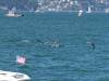 229 - 20231007 Fleet Week SFO SONY