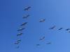 259 - 20231007 Fleet Week SFO SONY