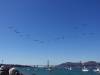261 - 20231007 Fleet Week SFO SONY