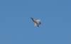 352 - 20231007 Fleet Week SFO SONY