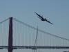 429 - 20231007 Fleet Week SFO SONY