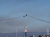 548 - 20231007 Fleet Week SFO SONY