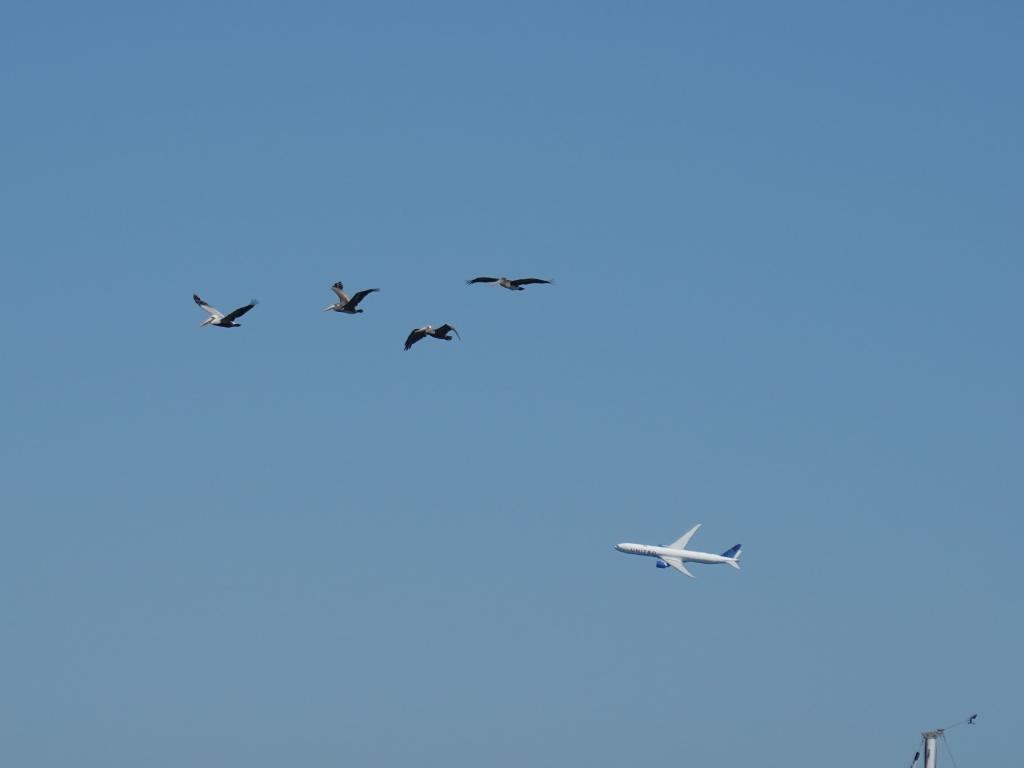 128 - 20231007 Fleet Week SFO SONY
