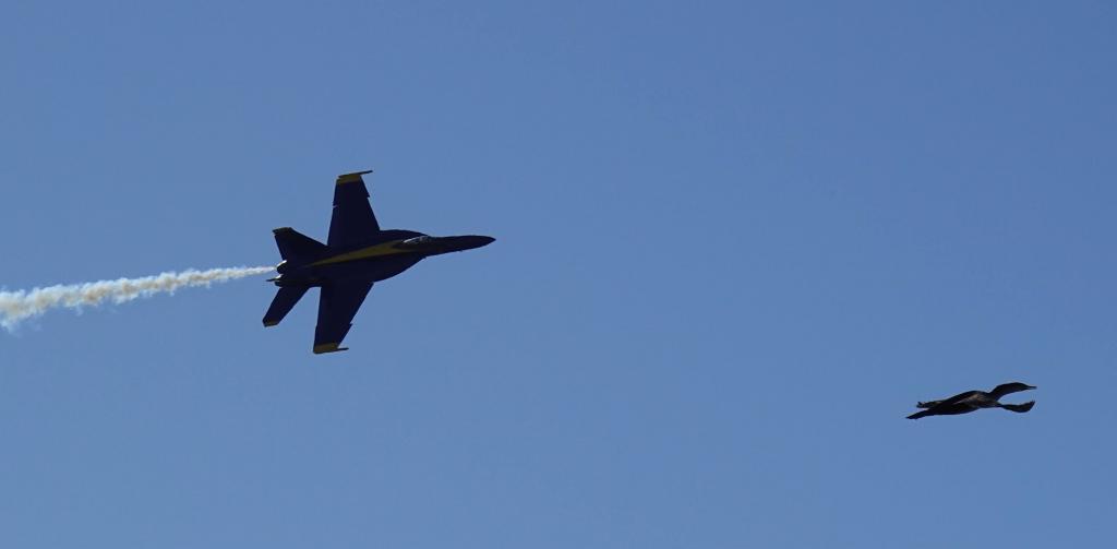 450 - 20231007 Fleet Week SFO SONY