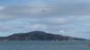 117 - 20241012 Fleet Week SFO Panasonic