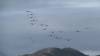 136 - 20241012 Fleet Week SFO Panasonic