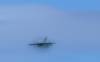 185 - 20241012 Fleet Week SFO Panasonic