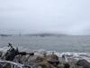 207 - 20241012 Fleet Week SFO Google