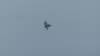 218 - 20241012 Fleet Week SFO Panasonic