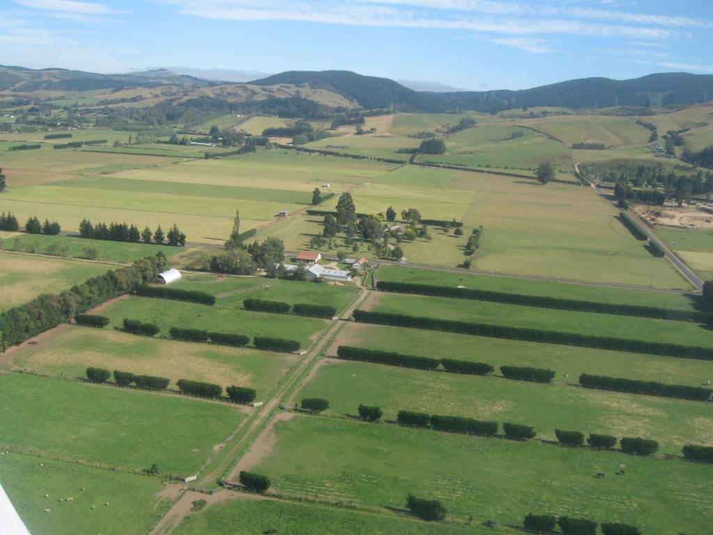 108 - Dunedin Flight