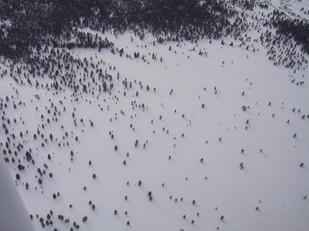 158 - Mammoth Flight