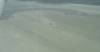 0203 - BRC From Sky