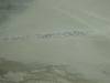 649 - 20140826 BRC After