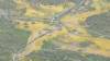 412 - 20230417 PRB IZA Carrizo Plain Wildflowers
