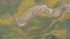 421 - 20230417 PRB IZA Carrizo Plain Wildflowers
