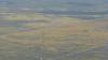 430 - 20230417 PRB IZA Carrizo Plain Wildflowers