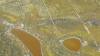 440 - 20230417 PRB IZA Carrizo Plain Wildflowers