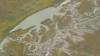 447 - 20230417 PRB IZA Carrizo Plain Wildflowers