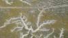 450 - 20230417 PRB IZA Carrizo Plain Wildflowers