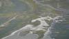 451 - 20230417 PRB IZA Carrizo Plain Wildflowers