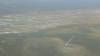 455 - 20230417 PRB IZA Carrizo Plain Wildflowers