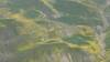 458 - 20230417 PRB IZA Carrizo Plain Wildflowers