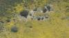 462 - 20230417 PRB IZA Carrizo Plain Wildflowers