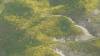 467 - 20230417 PRB IZA Carrizo Plain Wildflowers