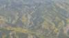 470 - 20230417 PRB IZA Carrizo Plain Wildflowers