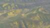 472 - 20230417 PRB IZA Carrizo Plain Wildflowers