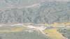 407 - 20230417 PRB IZA Carrizo Plain Wildflowers