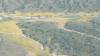 408 - 20230417 PRB IZA Carrizo Plain Wildflowers