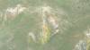 413 - 20230417 PRB IZA Carrizo Plain Wildflowers